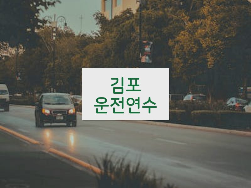 김포운전연수 후기