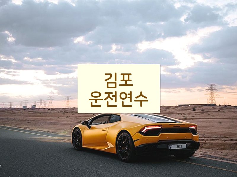 김포운전연수 후기