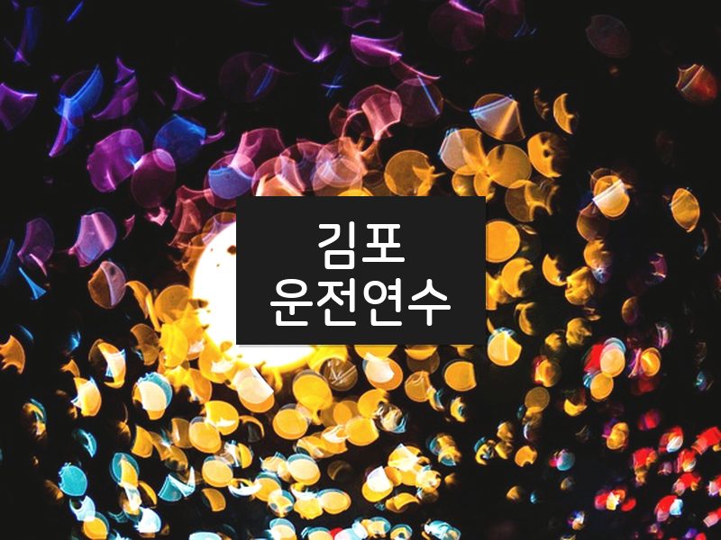 김포운전연수 후기