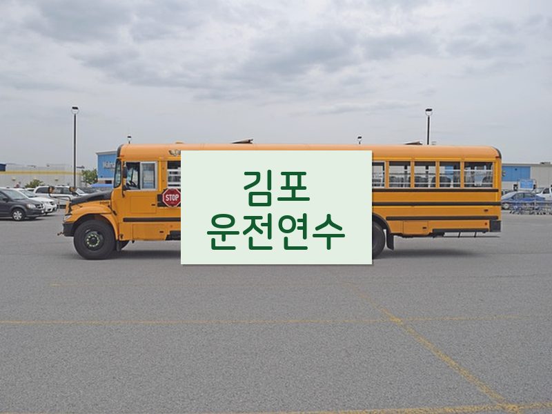 김포운전연수 후기