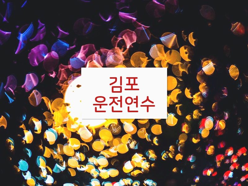 김포운전연수 후기