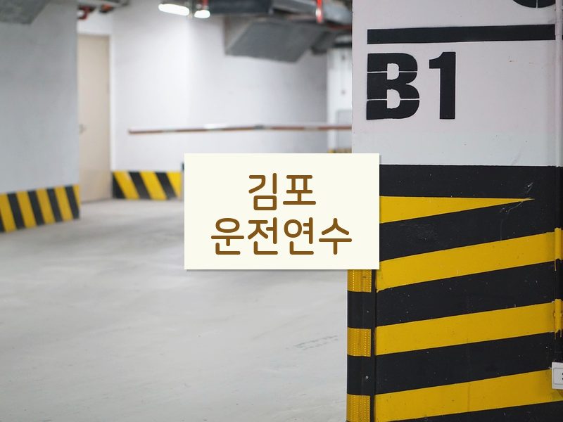 김포운전연수 후기