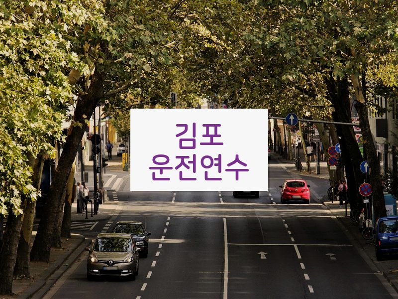 김포운전연수 후기