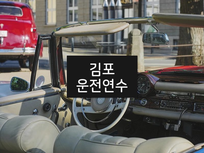 김포운전연수 후기