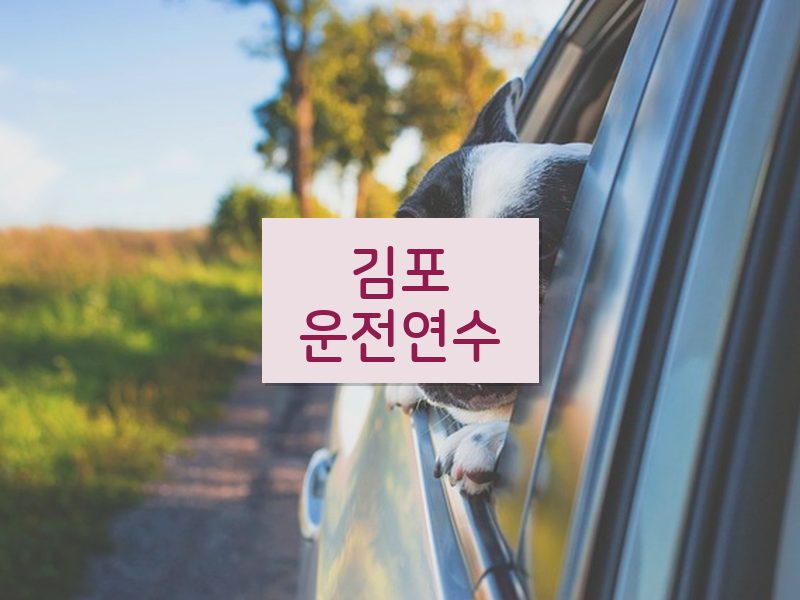 김포운전연수 후기