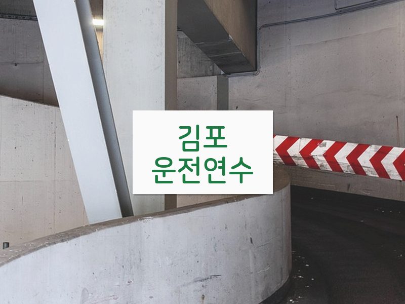 김포운전연수 후기