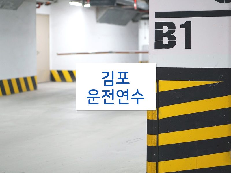 김포운전연수 후기