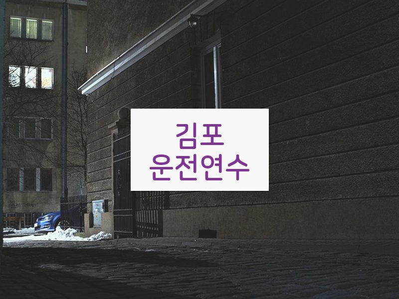 김포운전연수 후기