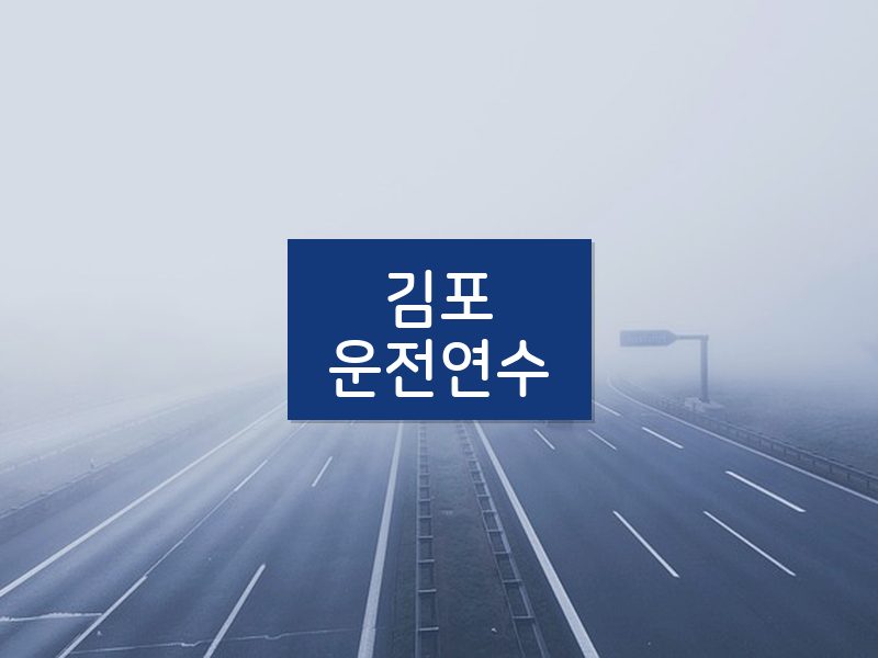 김포운전연수 후기