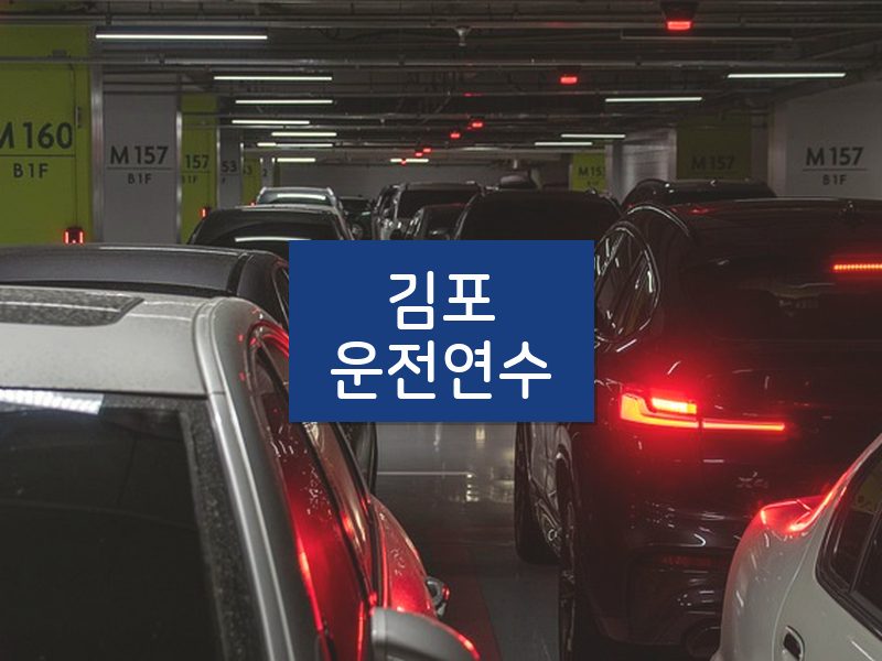 김포운전연수 후기