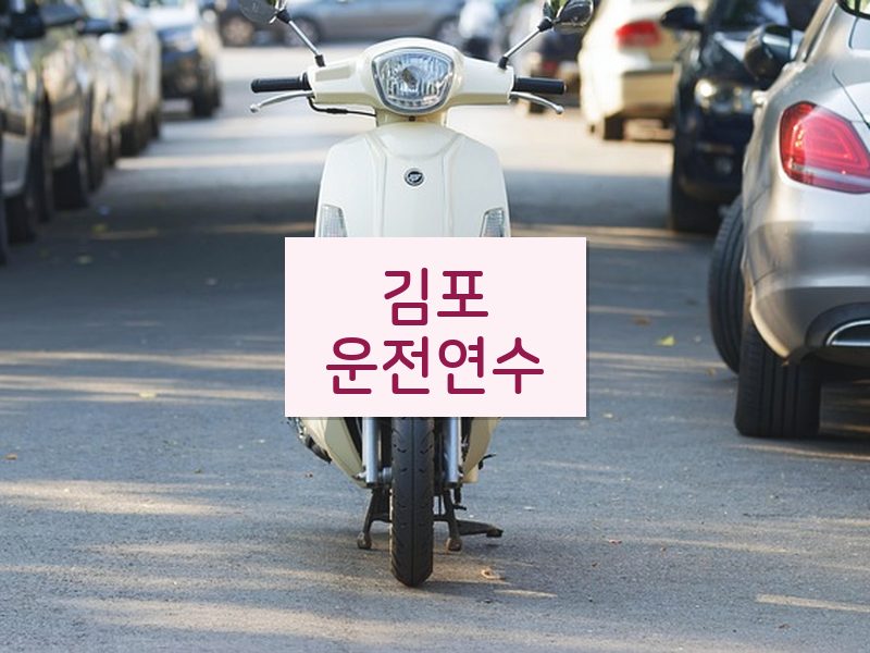 김포운전연수 후기