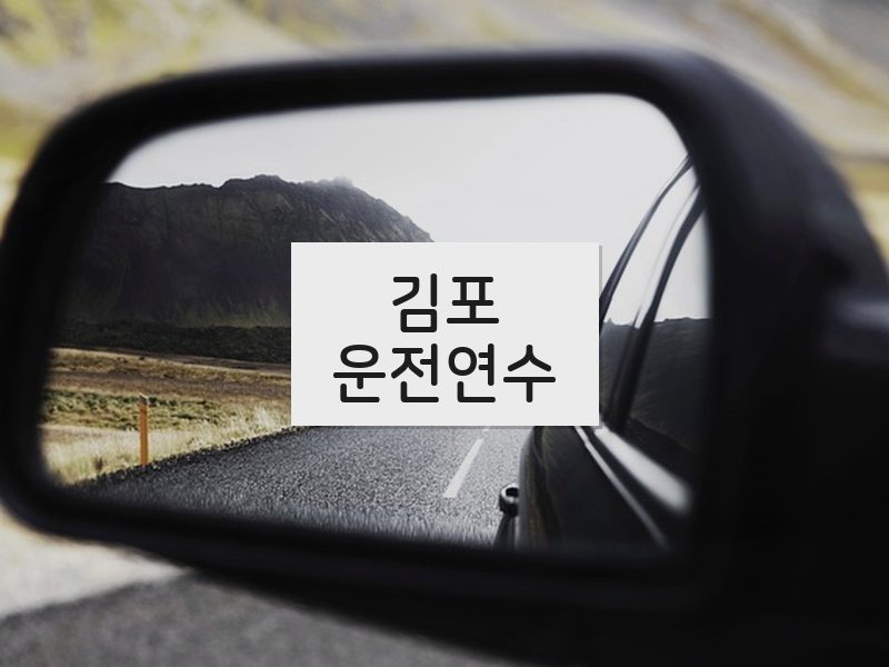 김포운전연수 후기