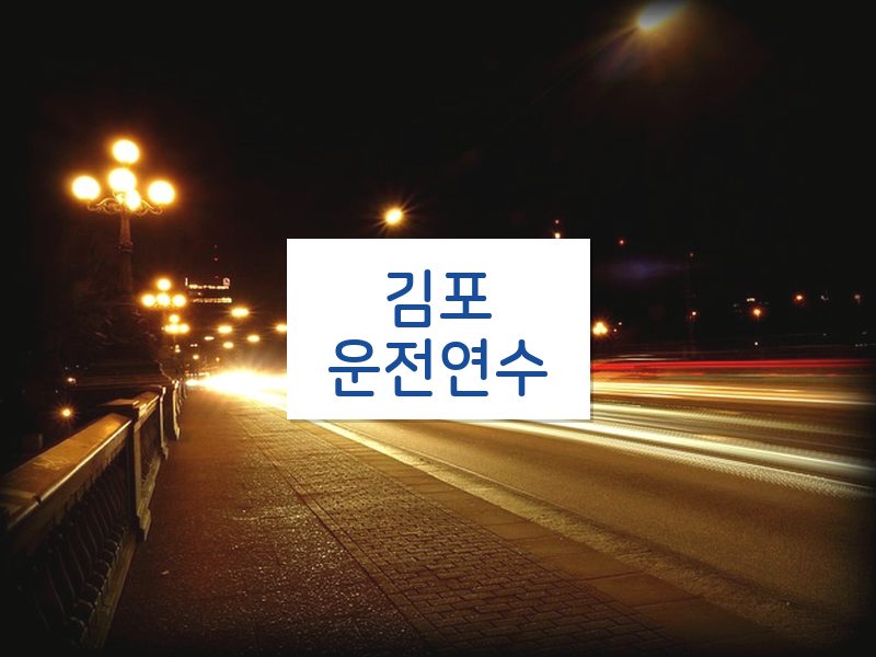 김포운전연수 후기