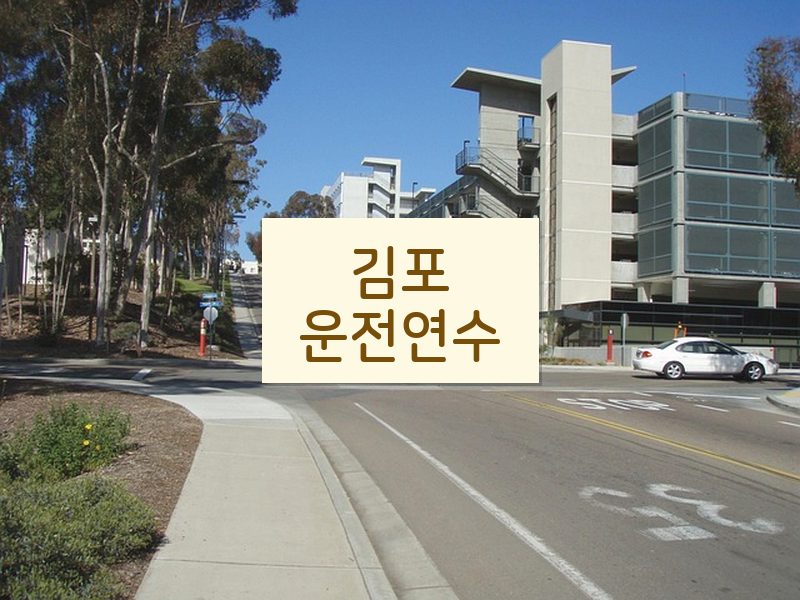 김포운전연수 후기