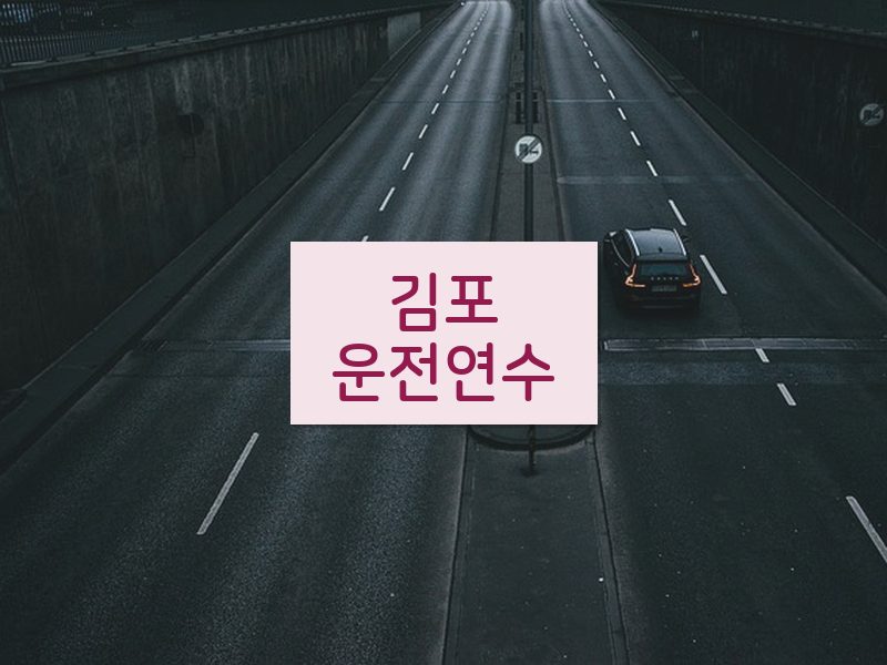 김포운전연수 후기