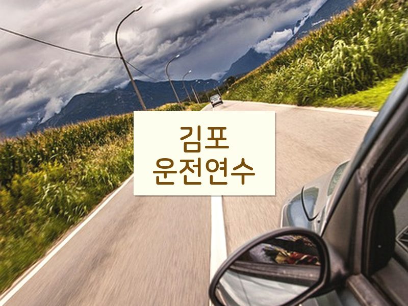 김포운전연수 후기