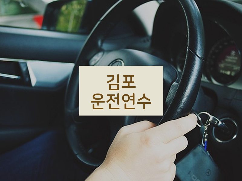 김포운전연수 후기