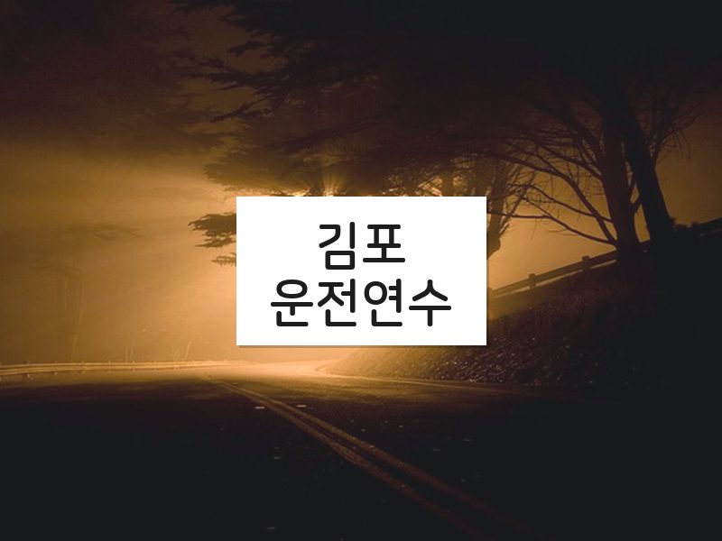 김포운전연수 후기