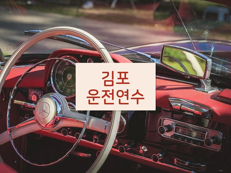 김포운전연수 후기