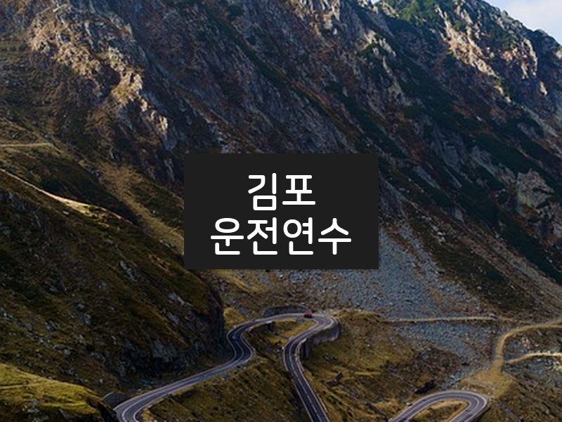 김포운전연수 후기