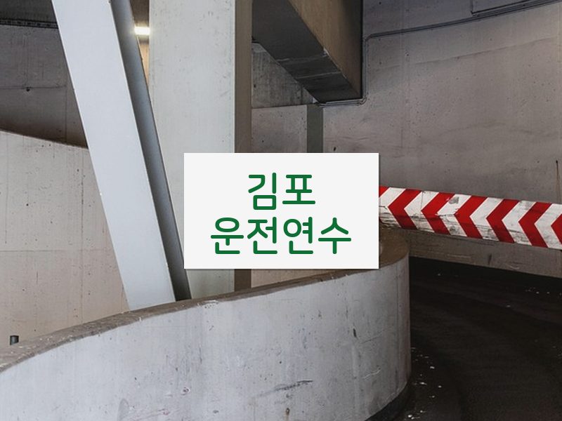 김포운전연수 후기