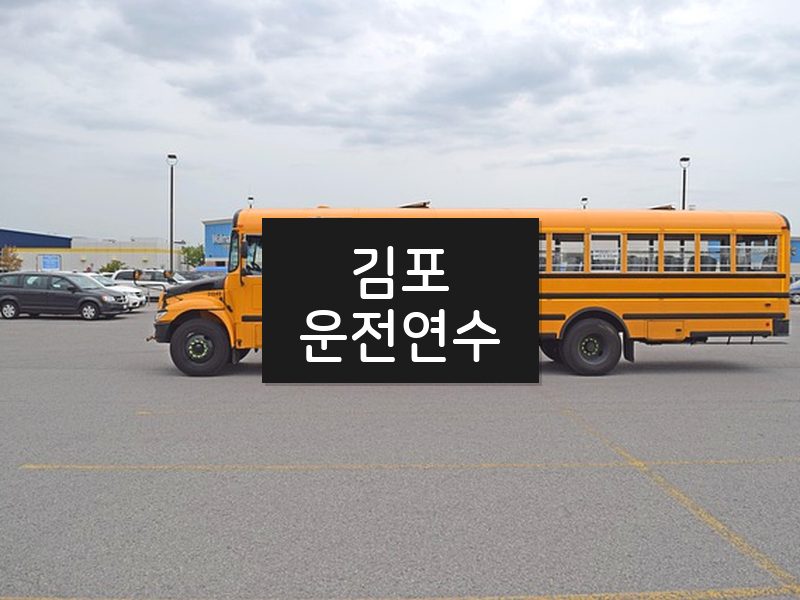 김포운전연수 후기