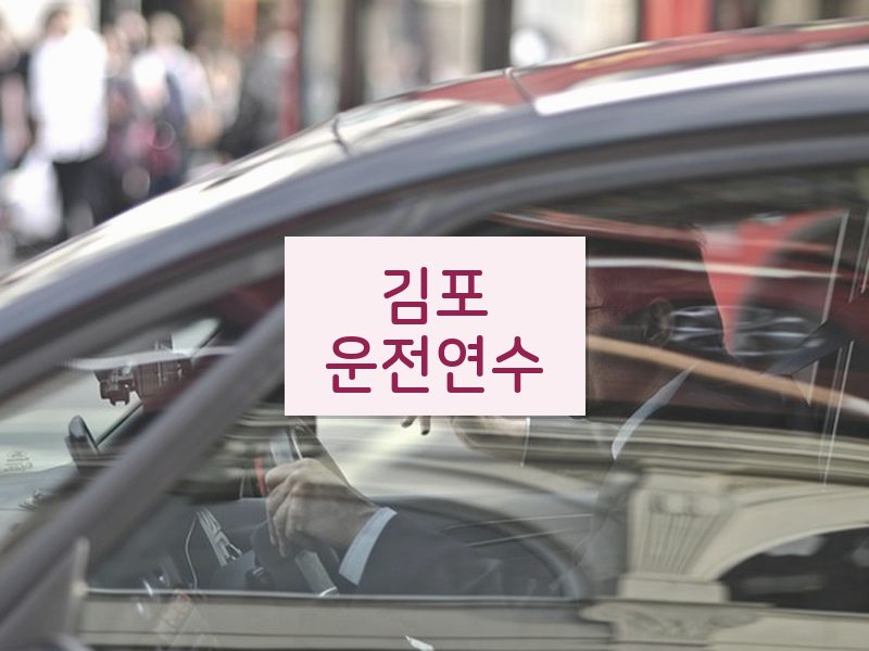 김포운전연수 후기
