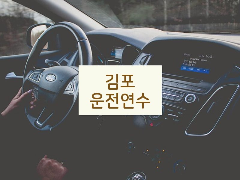 김포운전연수 후기