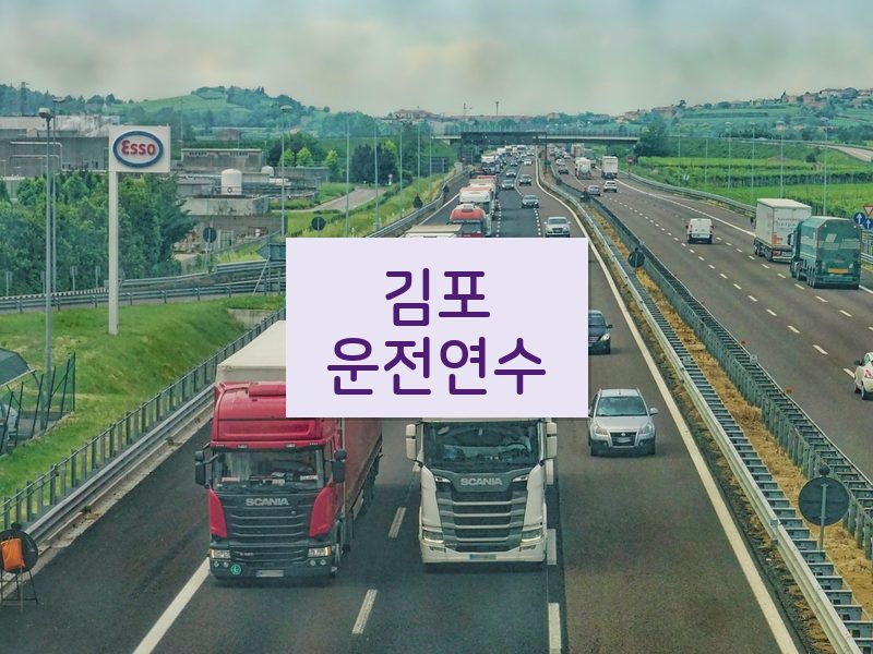 김포운전연수 후기