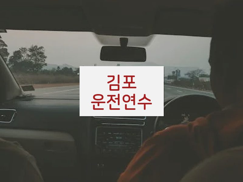 김포운전연수 후기