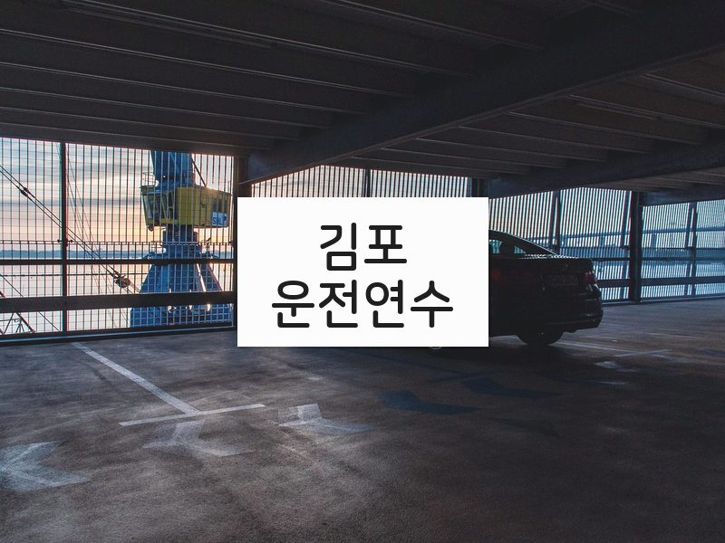 김포운전연수 후기
