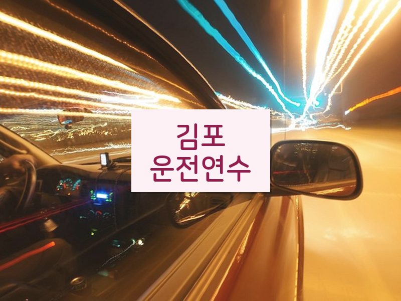 김포운전연수 후기