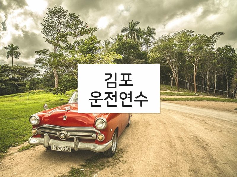 김포운전연수 후기
