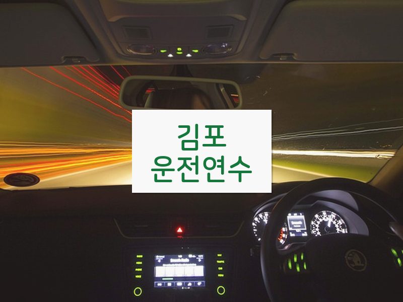 김포운전연수 후기