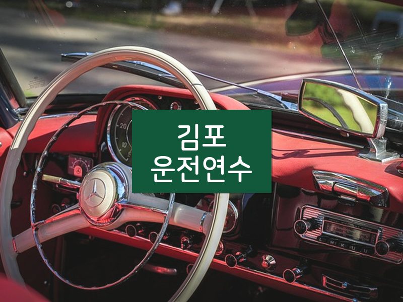 김포운전연수 후기