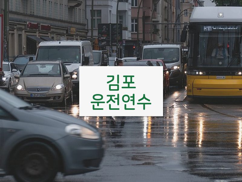 김포운전연수 후기
