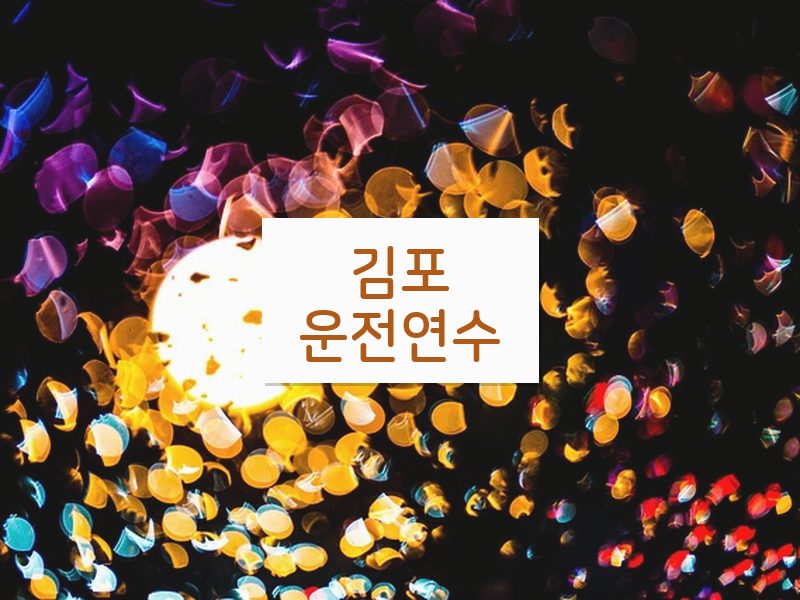 김포운전연수 후기