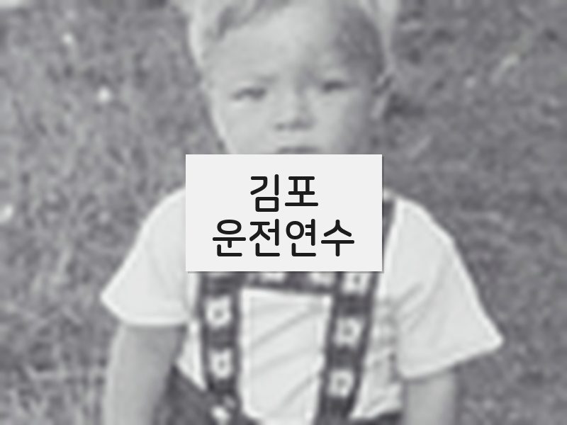 김포운전연수 후기