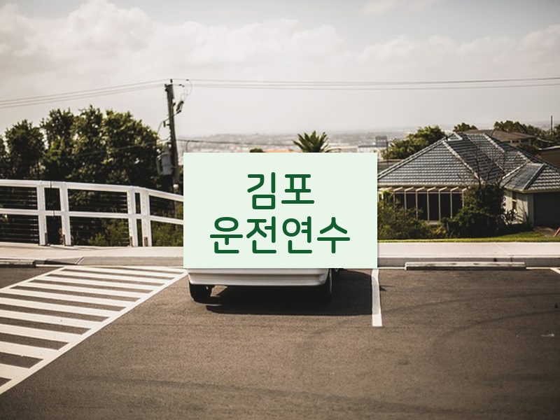 김포운전연수 후기