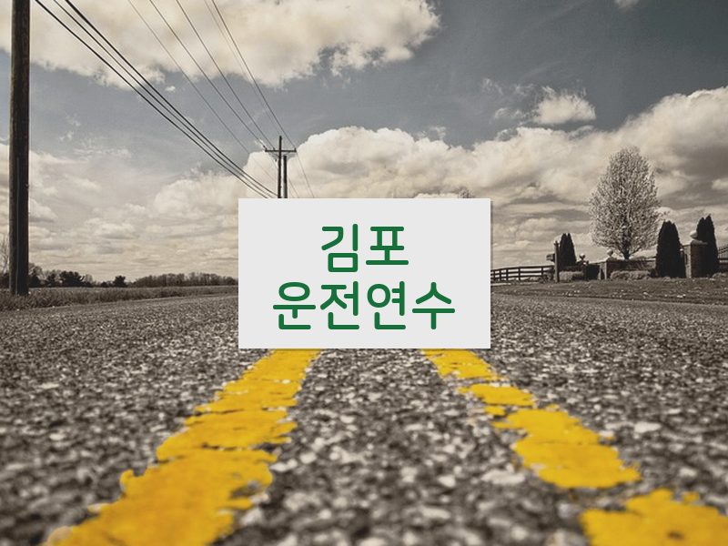 김포운전연수 후기