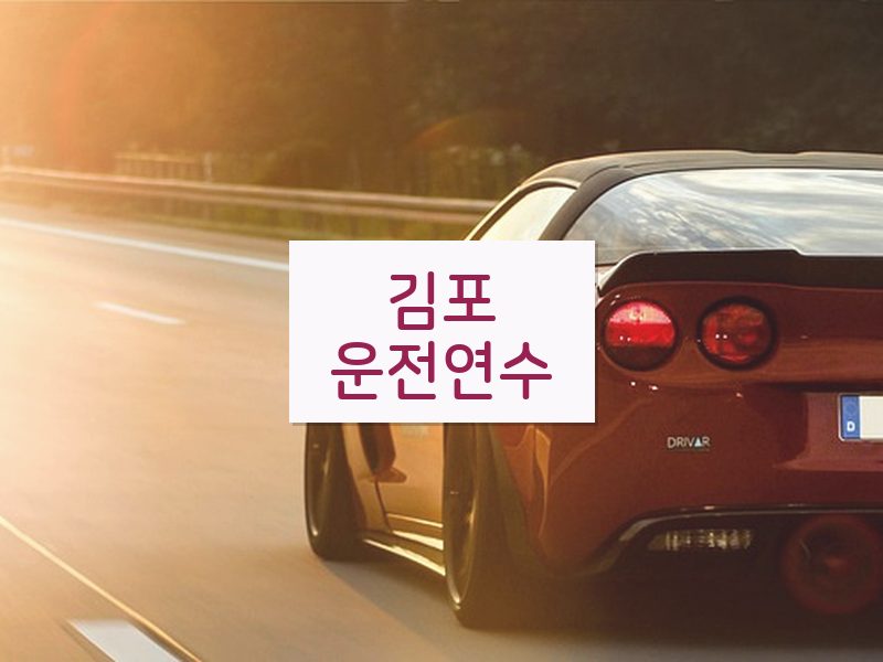 김포운전연수 후기