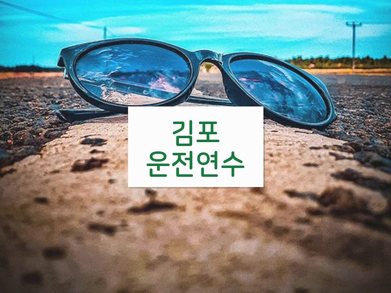 김포운전연수 후기