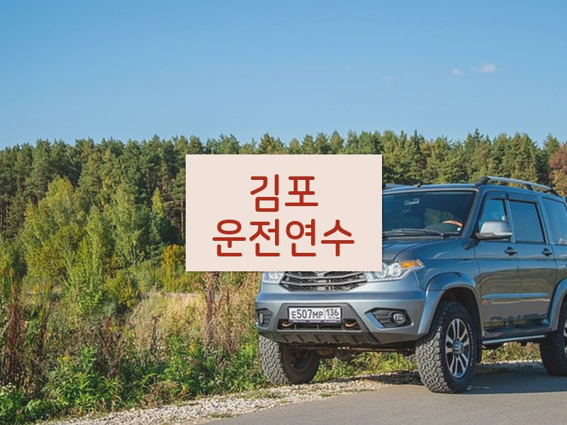 김포운전연수 후기