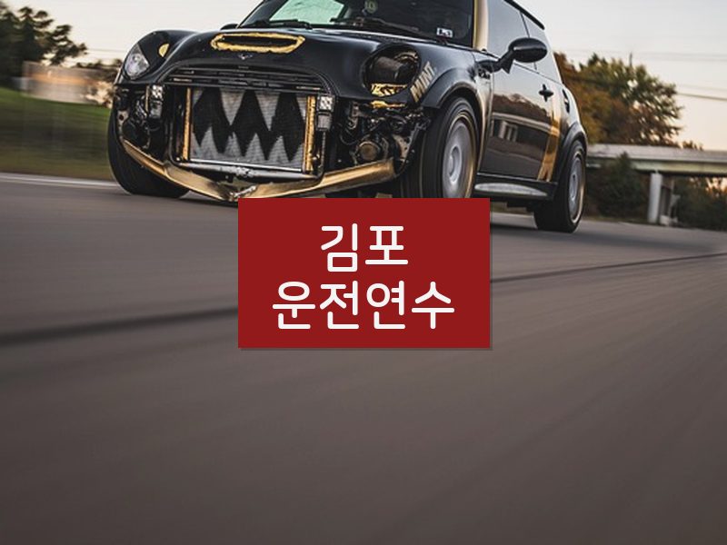 김포운전연수 후기