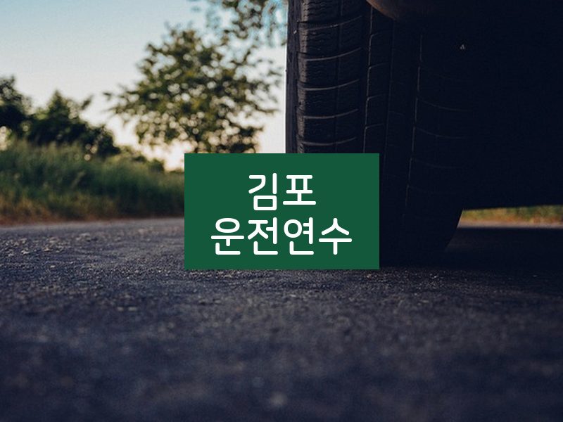 김포운전연수 후기