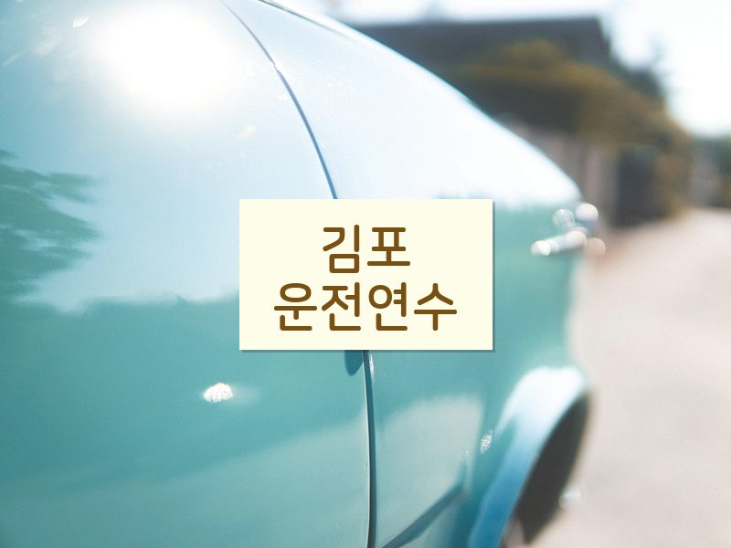 김포운전연수 후기