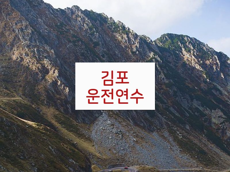 김포운전연수 후기
