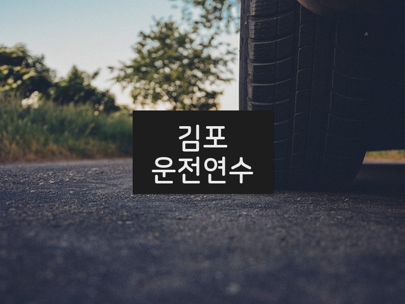 김포운전연수 후기