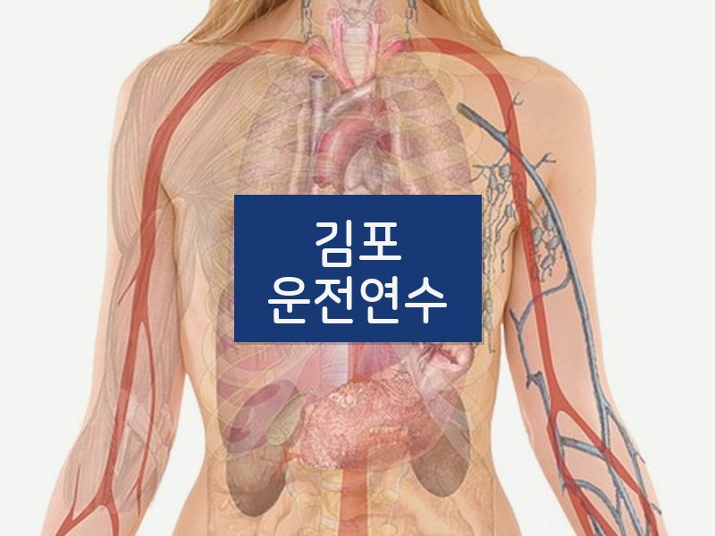 김포운전연수 후기