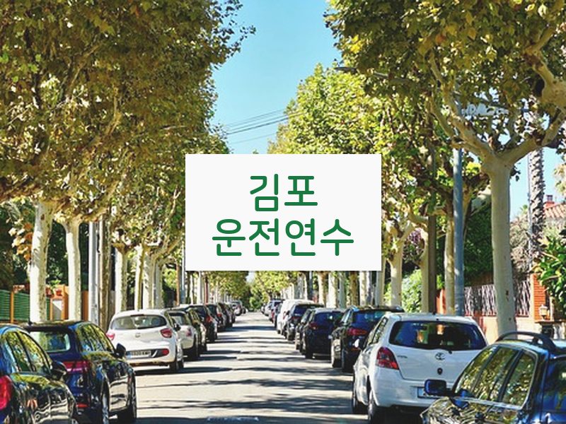 김포운전연수 후기